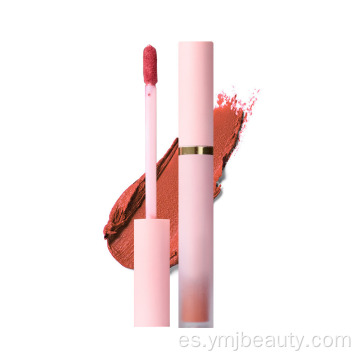 Gloses de labios de lápiz labiales líquidos de larga duración